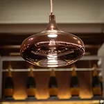 Ercilla De Bilbao, Autograph Collection